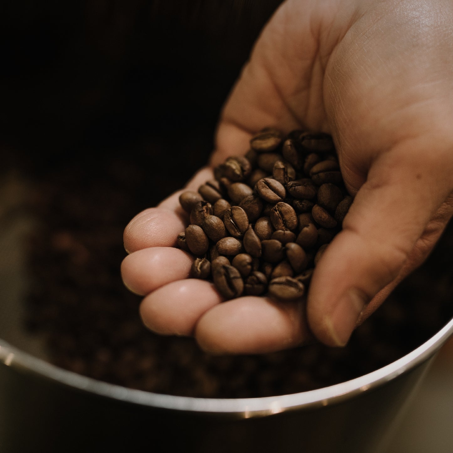 【水出しコーヒーバッグ×4個】【ホットアレンジもおすすめ】トロピカルブレンド~夏にぴったりなトロピカル感とリッチで芳醇なアロマ~