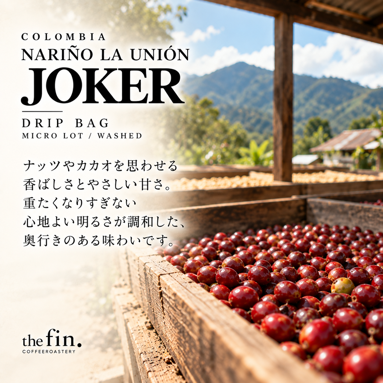 コロンビア ナリーニョ JOKER ドリップバッグ｜スペシャルティコーヒー