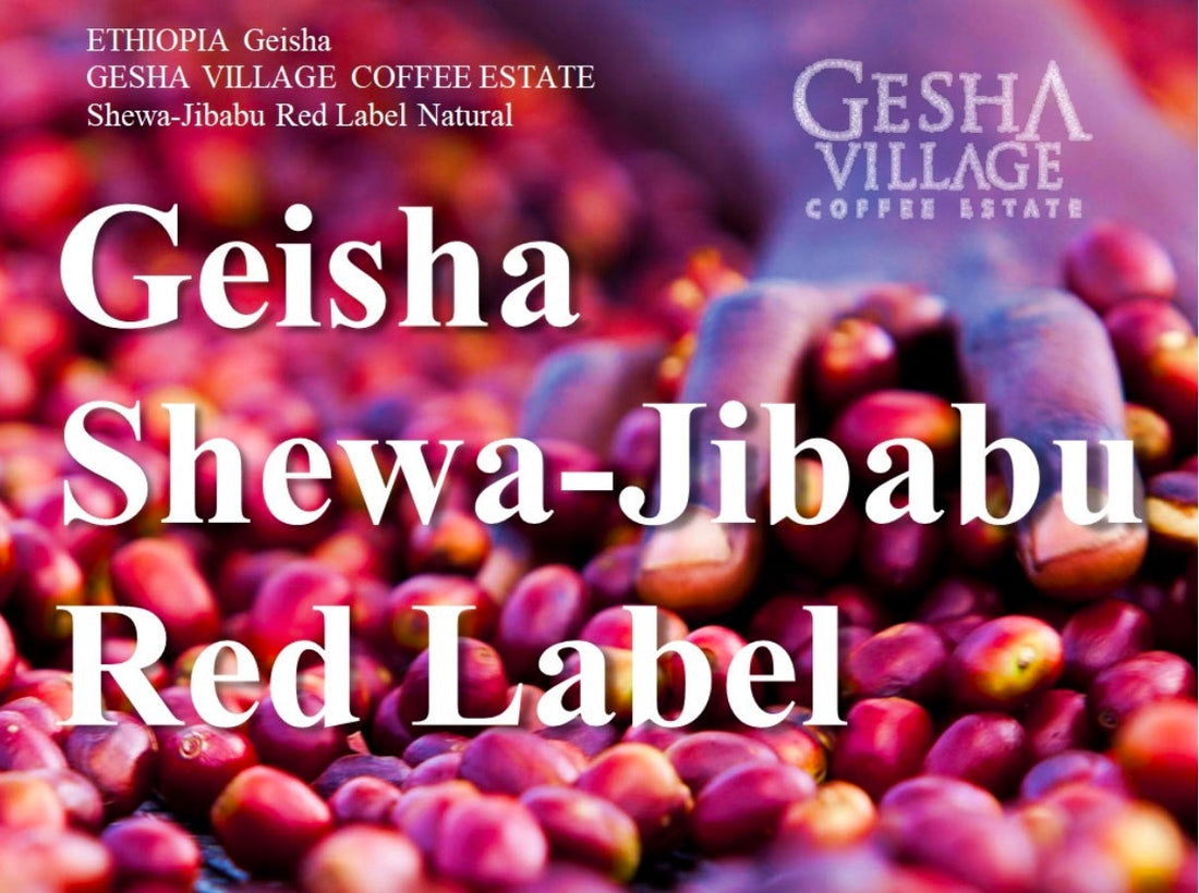 【コラム】高級コーヒー「ゲイシャ」とは？　〜ギフトにもおすすめ〜