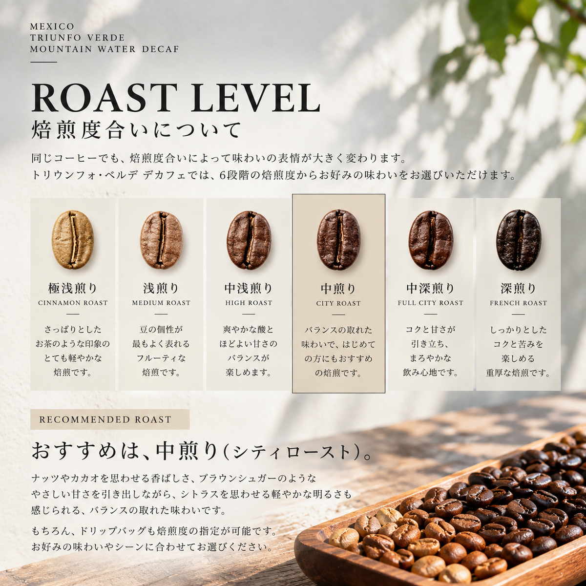 【ドリップバッグ】メキシコ トリウンフォ・ベルデ｜マウンテンウォータープロセス デカフェ