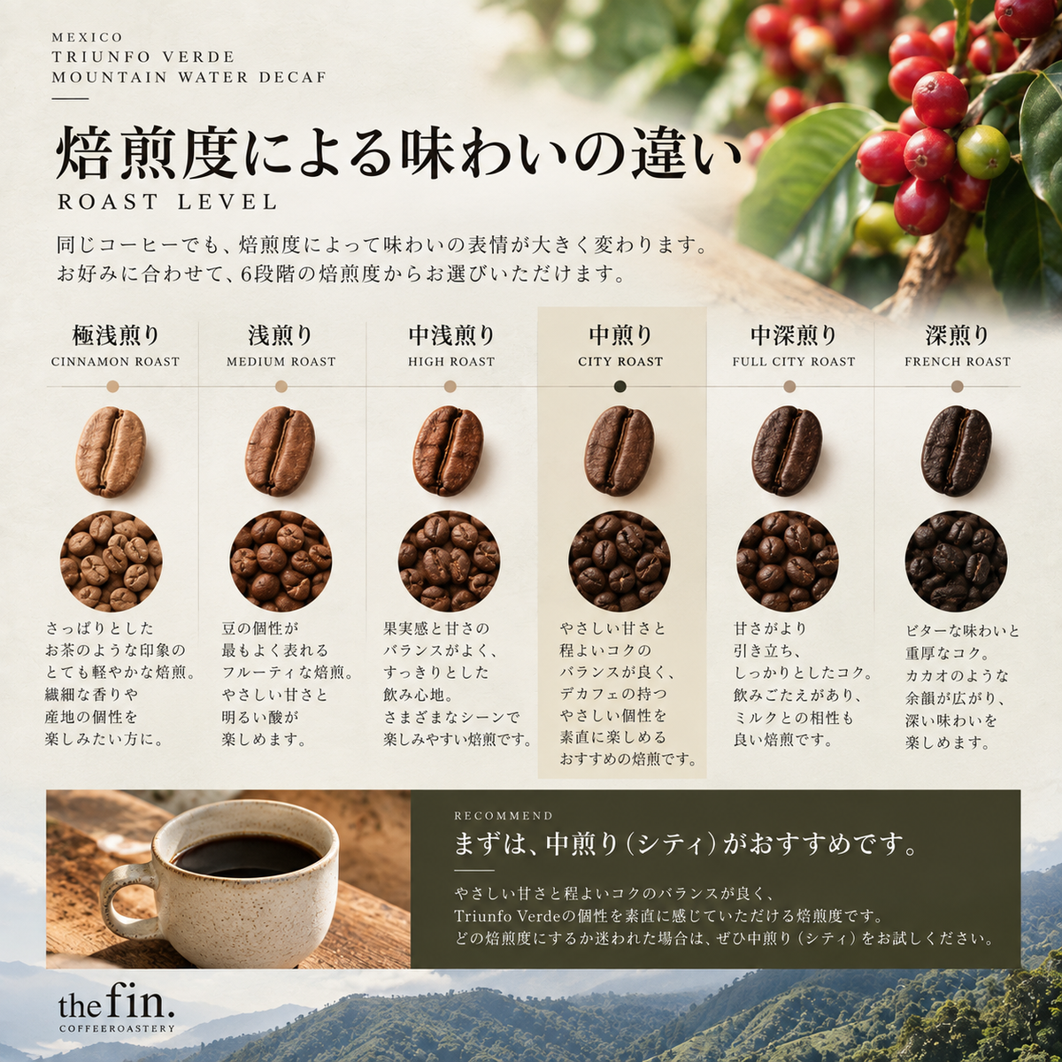 メキシコ トリウンフォ・ベルデ｜マウンテンウォータープロセス デカフェ