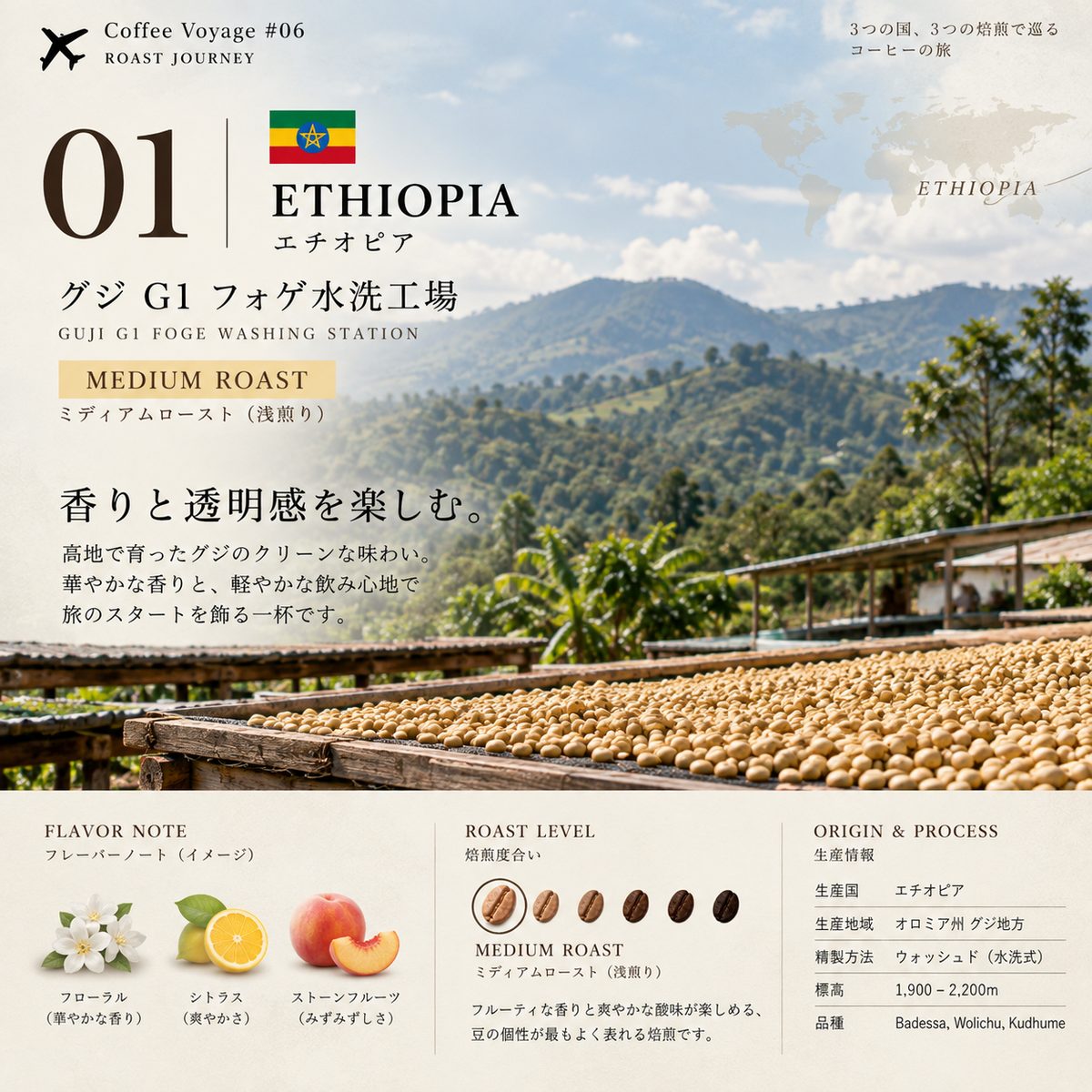 Coffee Voyage #06｜浅煎り・中煎り・中深煎り 3種飲み比べ｜ROAST JOURNEY