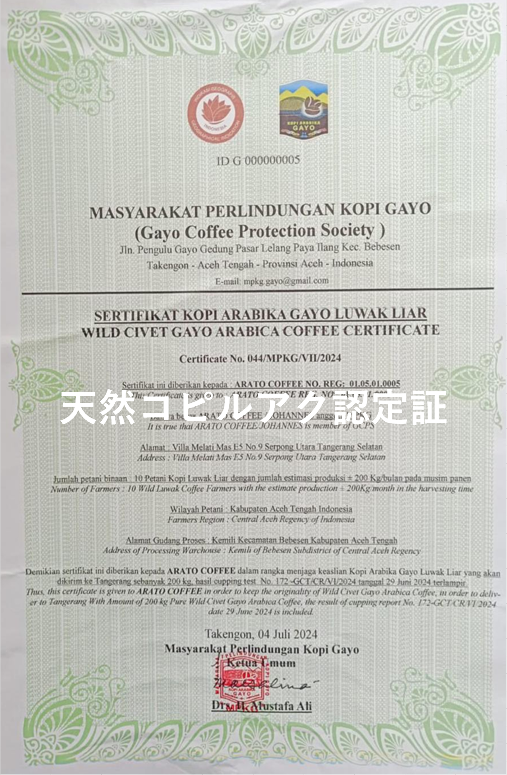 【超希少豆・高級豆】ワイルド コピルアック アチェ ガヨ　～ジャコウネコが選び、自然が仕上げたギフト。"世界一の贅沢"が、いま、あなたのカップに～