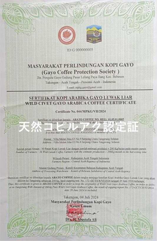 【超希少豆・高級豆】ワイルド コピルアック アチェ ガヨ　～ジャコウネコが選び、自然が仕上げたギフト。"世界一の贅沢"が、いま、あなたのカップに～