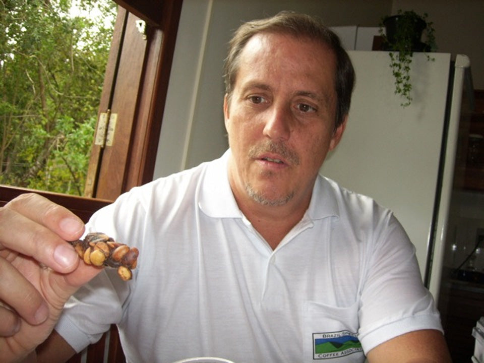 【超希少豆・高級豆】ブラジル　カモシム農園　ジャク―バードコーヒー