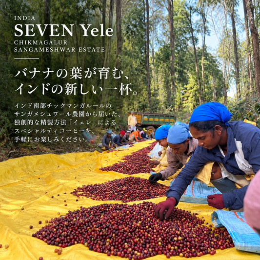 【ドリップバッグ】インド SEVEN イェレ｜チックマンガルール・サンガメシュワール農園