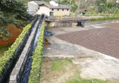 ブラジル ブルボンアマレロ ラランハル農園 ナチュラル｜チョコレートのような甘みとナッツの香ばしさ【スペシャルティコーヒー】