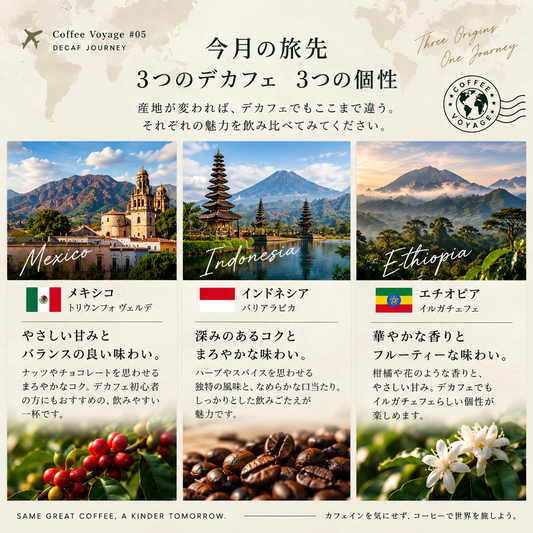 Coffee Voyage #05｜はじめてのデカフェ3種飲み比べ｜メキシコ・インドネシア・エチオピア
