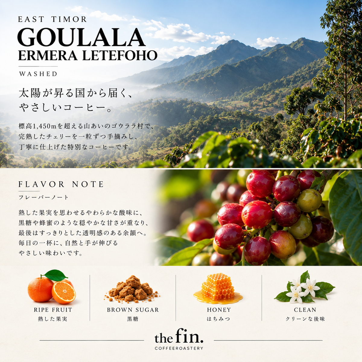 東ティモール GOULALA｜エルメラ レテフォホ ゴウララ村／ウォッシュド