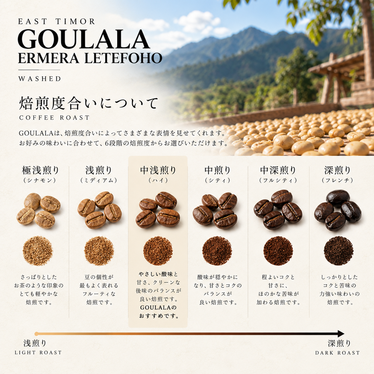 東ティモール GOULALA｜エルメラ レテフォホ ゴウララ村／ウォッシュド
