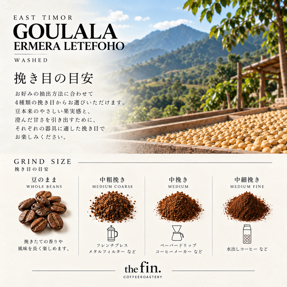 東ティモール GOULALA｜エルメラ レテフォホ ゴウララ村／ウォッシュド