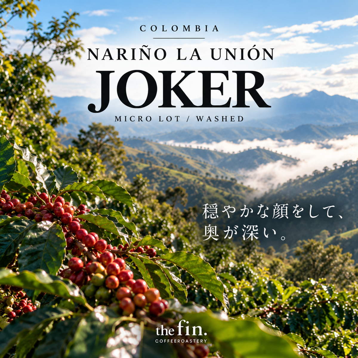 コロンビア ナリーニョ ラ・ウニオン JOKER｜マイクロロット／ウォッシュド