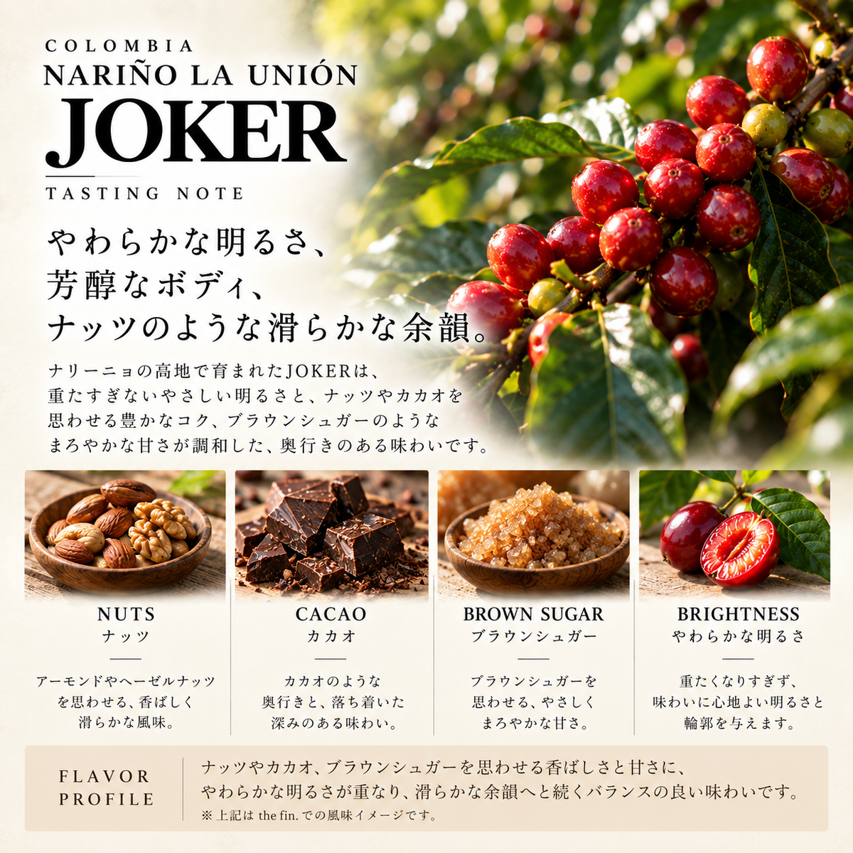 コロンビア ナリーニョ ラ・ウニオン JOKER｜マイクロロット／ウォッシュド