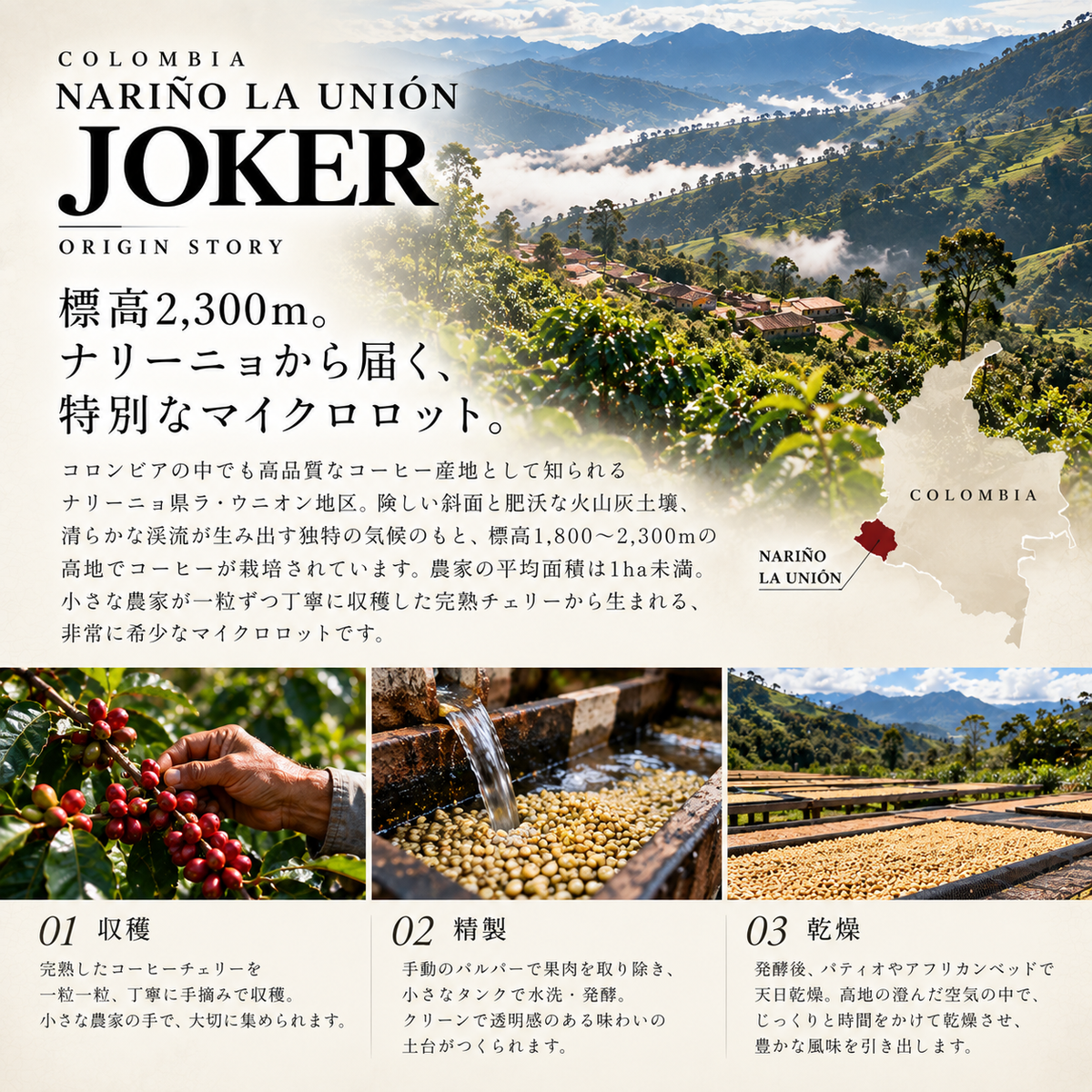 コロンビア ナリーニョ ラ・ウニオン JOKER｜マイクロロット／ウォッシュド