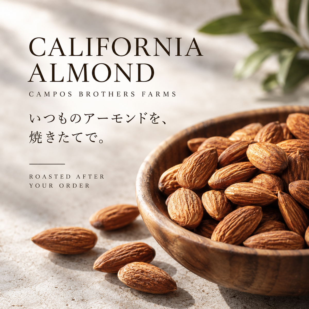 カリフォルニア産アーモンド｜キャンポス農園 シングルバレル