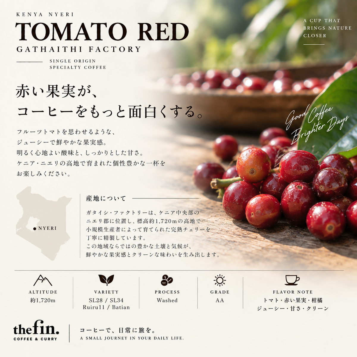 【ドリップバッグ】ケニア トマトレッド AA ガタイシファクトリー｜ニエリ ウォッシュド