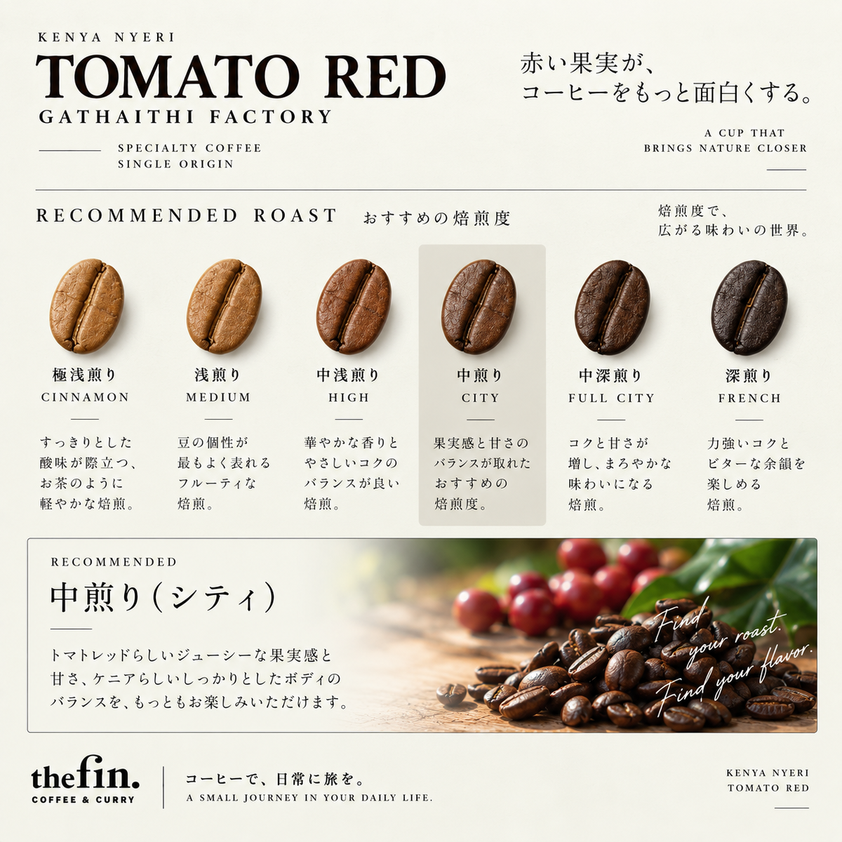 ケニア トマトレッド AA ガタイシファクトリー｜ニエリ ウォッシュド