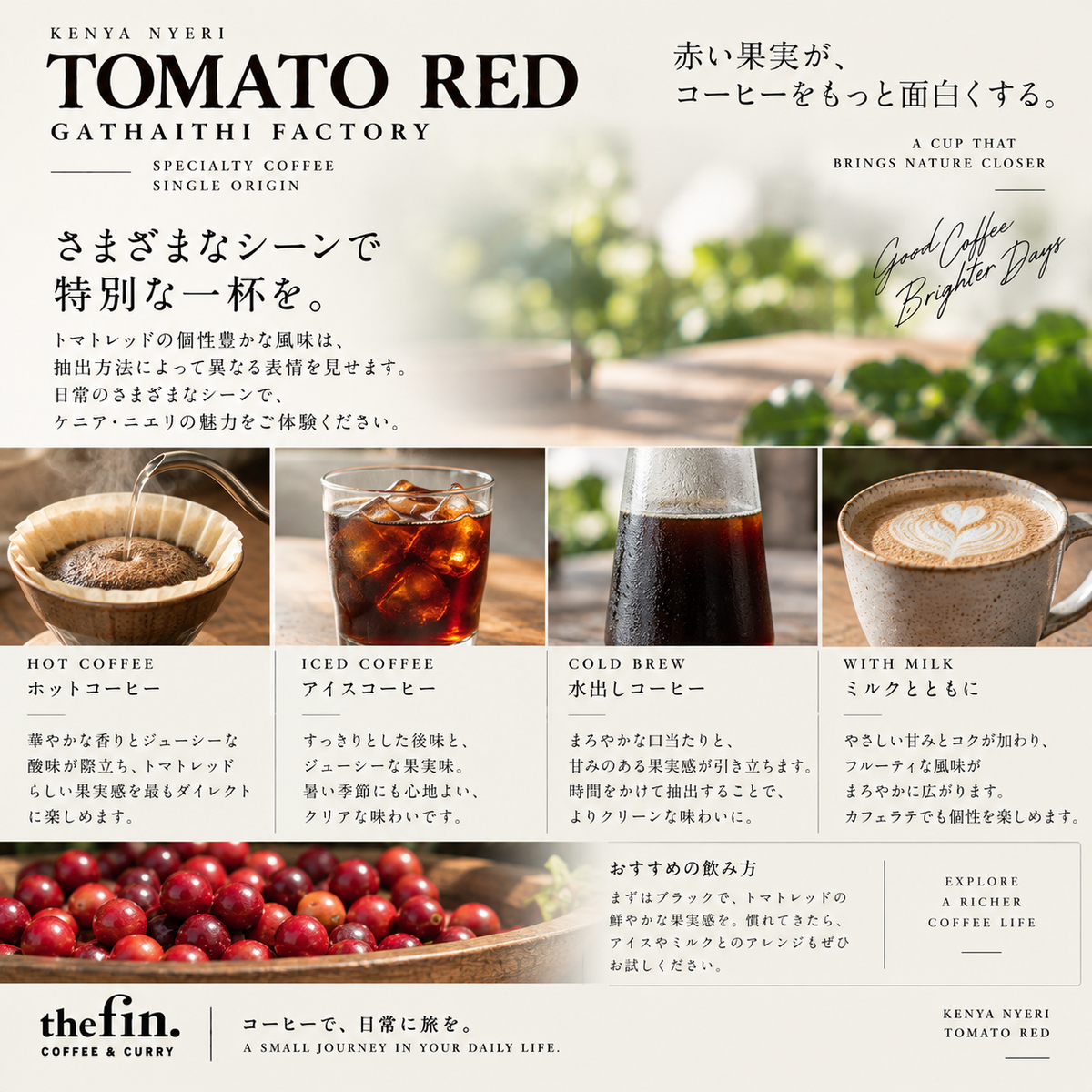 ケニア トマトレッド AA ガタイシファクトリー｜ニエリ ウォッシュド