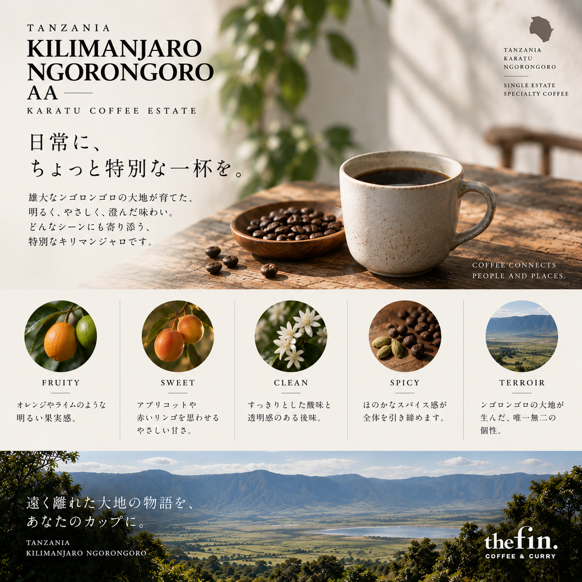 タンザニア キリマンジャロ ンゴロンゴロ AA｜カラツ・エステート／ウォッシュド