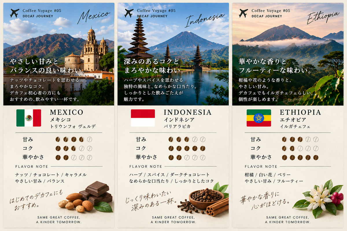 Coffee Voyage #05｜はじめてのデカフェ3種飲み比べ｜メキシコ・インドネシア・エチオピア
