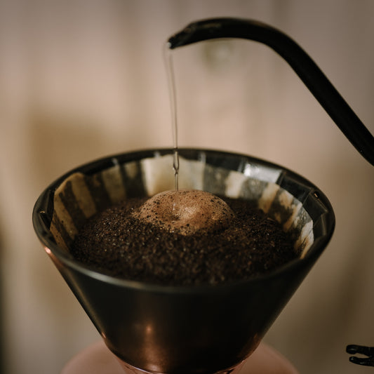 コーヒー豆ギフトセット / お任せギフト★★送料無料！焙煎したての豆を器具に合わせてお挽きして発送します