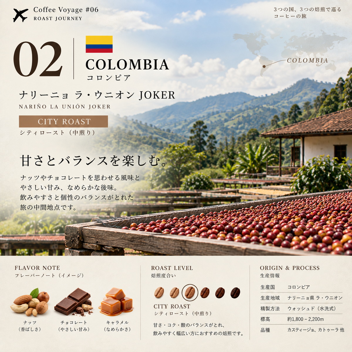 Coffee Voyage #06｜浅煎り・中煎り・中深煎り 3種飲み比べ｜ROAST JOURNEY